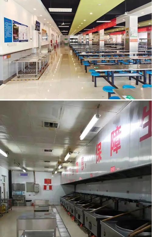 河北邢臺市創建省級校園食品安全標準食堂44家，助推正餐服務再上臺階